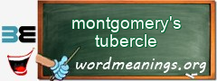 WordMeaning blackboard for montgomery's tubercle